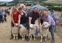 Gwenddwr Show marks magnificent 70 years