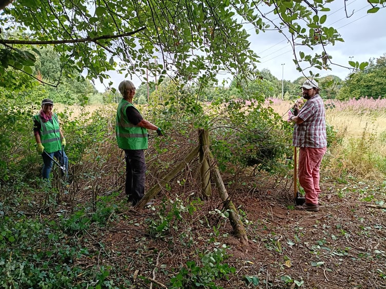 The project aims to make Island Fields more accessible while protecting its natural habitats