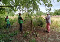 £83k project transforms Brecon green space