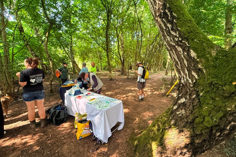 Volunteers take part in a Wilderness Day event as part of Wales Nature Week
