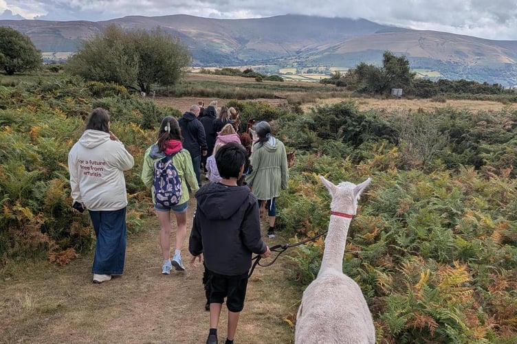 The alpaca walk gave young people living with arthritis a chance to enjoy the outdoors