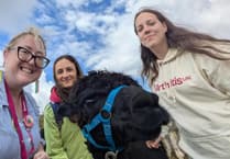 Young people with arthritis enjoy special alpaca walk
