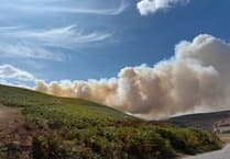 Glascwm wildfire has affected 90 hectares