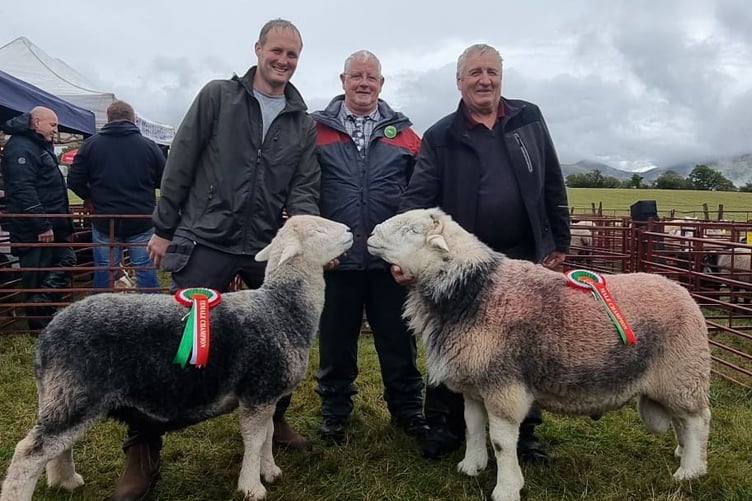 Herdwick male & female champions
