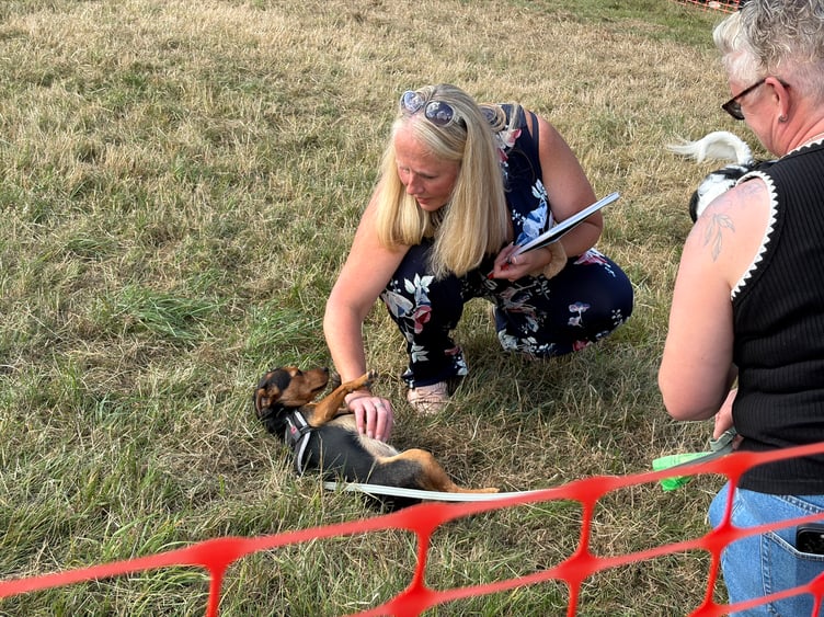 Powys Pooches in the Park