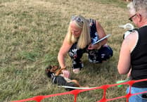 Inaugural Powys Pooches in the Park a huge success raising thousands for charities