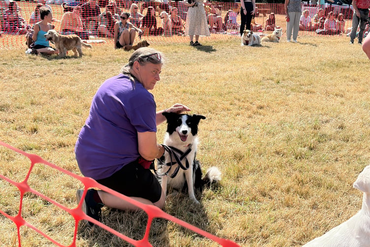 Powys Pooches in the Park