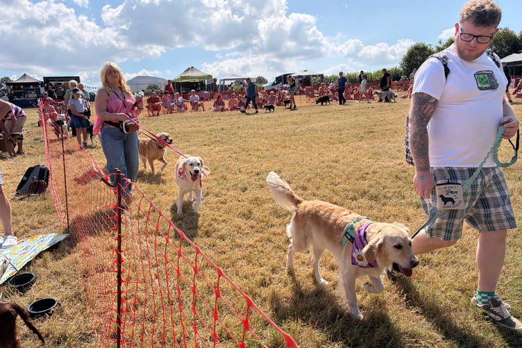 Powys Pooches in the Park