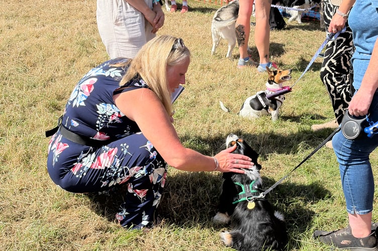 Powys Pooches in the Park