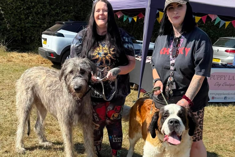 Powys Pooches in the Park