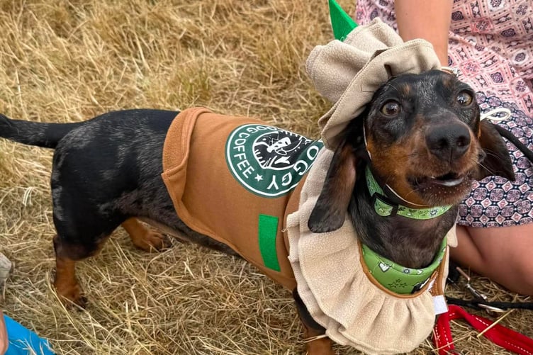Powys Pooches in the Park