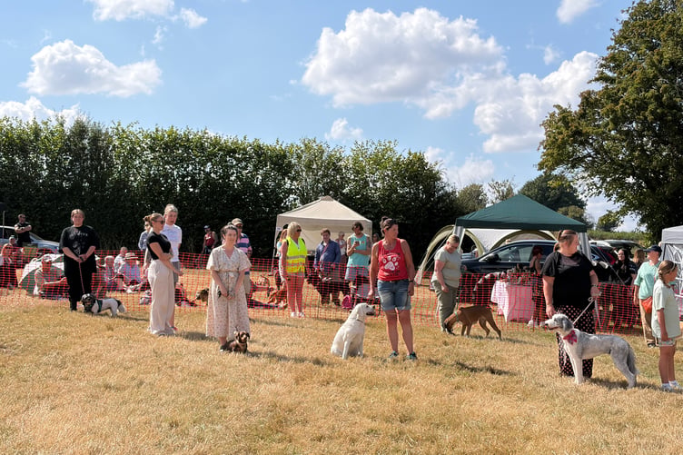 Powys Pooches in the Park