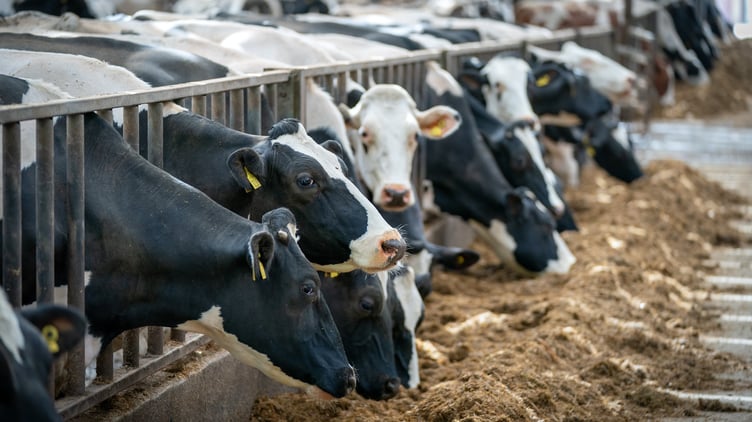Livestock keepers are being reminded to report suspected cases of bluetongue immediately