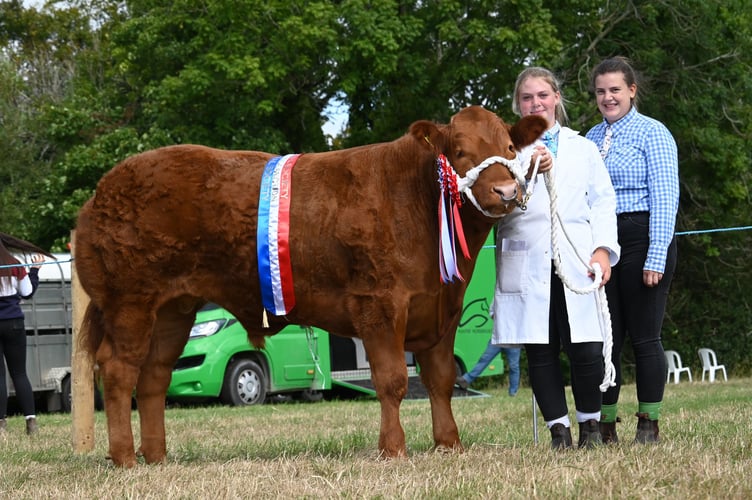 Supreme Cattle Champion - BE Williams