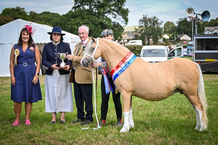 The Supreme Horse Champion - Gemma Morris with Bordervalley Cover Girl - Section A