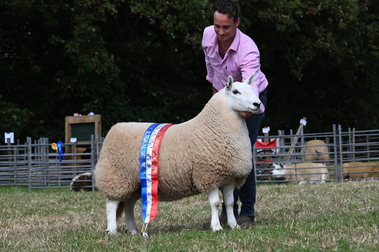 Supreme Sheep Campion - Christie Joseph