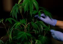 Medical cannabis is legal in the UK - but Wales may be underserved