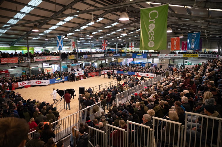 Visitors will return to Llanelwedd for this year’s Royal Welsh Winter Fair
