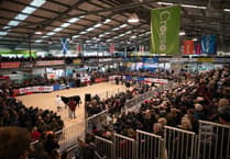 Royal Welsh Winter Fair tickets go on sale