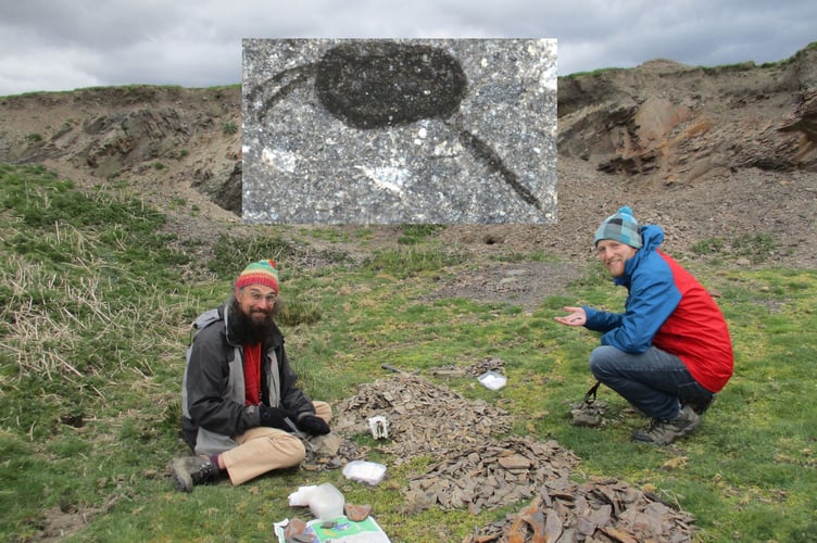 Palaeontologists Joe Botting and Stephen Pates with an inset showing Ffabach peryglus, the tiny ‘Danger Bean’ fossil