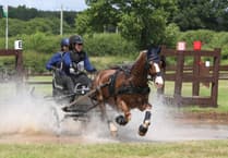 Brecon pony shortlisted for national award