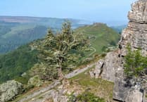 Powys County Council renews objection to proposed new national park